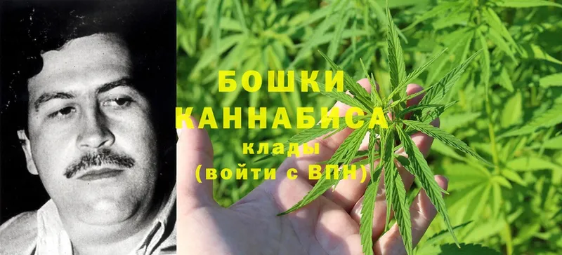 Бошки марихуана марихуана  Великие Луки 